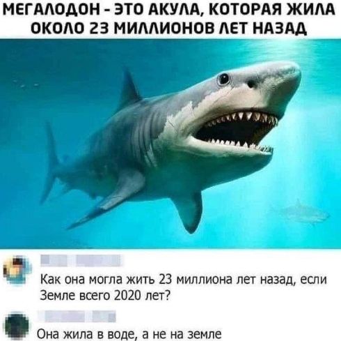 МЕГАЛОДОН - ЭТО АКУЛА, КОТОРАЯ ЖИЛА ОКОЛО 23 МИЛЛИОНОВ ЛЕТ НАЗАД
Как она могла жить 23 миллиона лет назад, если Земле всего 2020 лет?
Она жила в воде, а не на земле.