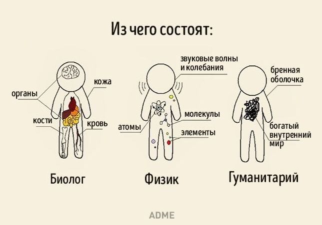Из чего состоит:

Биолог - органы, кости, кожа, кровь

Физик - звуковые волны и колебания, молекулы, атомы, элементы

Гуманитарий - бренная оболочка, богатый внутренний мир