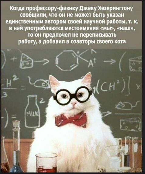 Когда профессору-физику Джеку Хезерингтону сообщили, что он не может быть указан единственным автором своей научной работы, т. к. в ней употребляются местоимения «мы», «наш», то он предпочёл не переписывать работу, а добавил в соавторы своего кота.