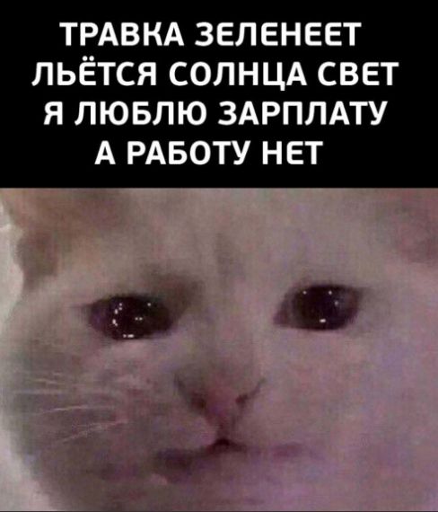 ТРАВКА ЗЕЛЕНЕЕТ ЛЬЁТСЯ СОЛНЦА СВЕТ Я ЛЮБЛЮ ЗАРПЛАТУ А РАБОТУ НЕТ