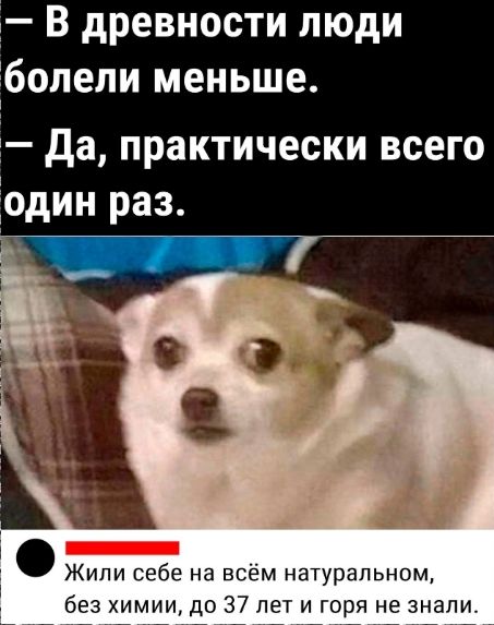 — В древности люди болели меньше.
— Да, практически всего один раз.

— Жили себе на всём натуральном, без химии, до 37 лет и горя не знали.