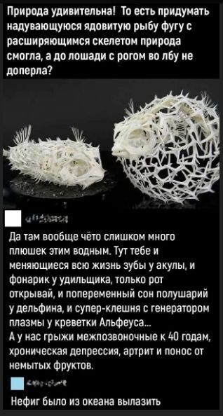 Природа удивительна! То есть придумать надувающуюся ядовитую рыбу фугу с расширяющимися скелетом природа смогла, а до лошади с рогом во лбу не доперла? Да там вообще чётко слишком много плюшек этим водным. Тут тебе и меняющиеся всю жизнь зубы у акулы, и фонарик у удильщика, только рот открывай, и попеременный сон полушарий у дельфина, и супер-клешня с генератором плазмы у креветки Альфеуса… А у нас грозы межлозвончные с 40 годами, хроническая депрессия, артрит и пшик от немытых фруктов.