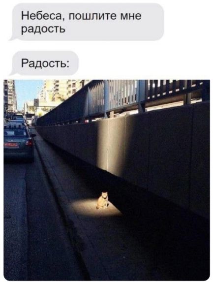 Небеса, пошлите мне радость
Радость: