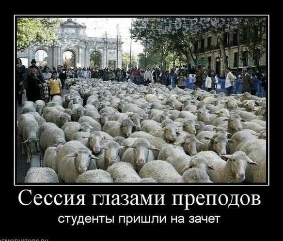 Сессия глазами преподов
студенты пришли на зачет