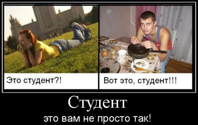 Это студент?! Вот это, студент!!! Студент это вам не просто так!