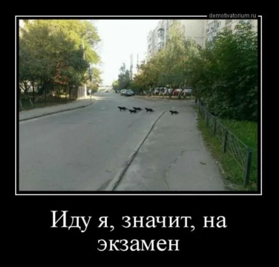 Иду я, значит, на экзамен
