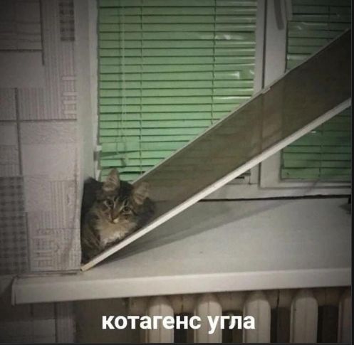 котагенс угла