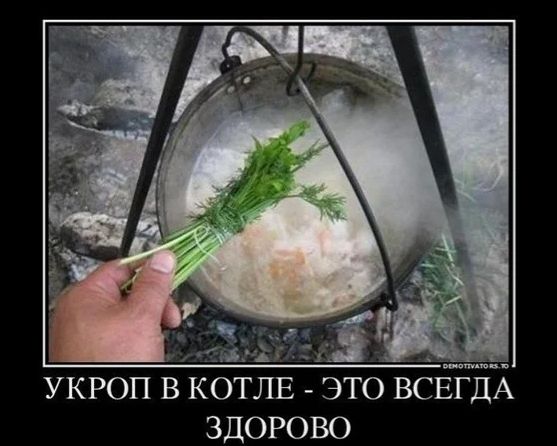 УКРОП В КОТЛЕ - ЭТО ВСЕГДА ЗДОРОВО