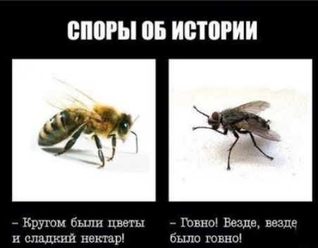 СПОРЫ ОБ ИСТОРИИ
- Кругом были цветы и сладкий нектар!
- Говно! Везде, везде было говно!