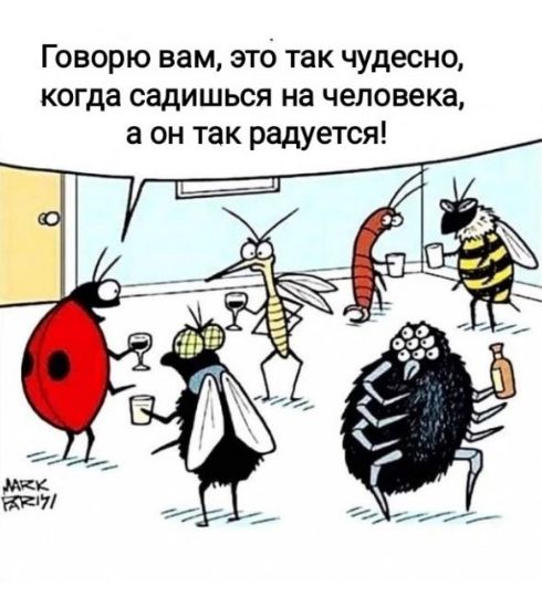 Говорю вам, это так чудесно, когда садишься на человека, а он так радуется!