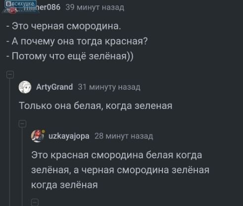 - Это черная смородина. - А почему она тогда красная? - Потому что ещё зелёная))
Только она белая, когда зелёная
Это красная смородина белая когда зелёная, а чёрная смородина зелёная когда зелёная