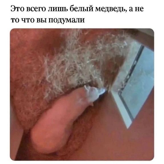 Это всего лишь белый медведь, а не то что вы подумали