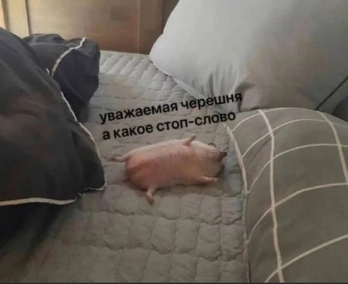 уважаемая черепня а какое стоп-слово