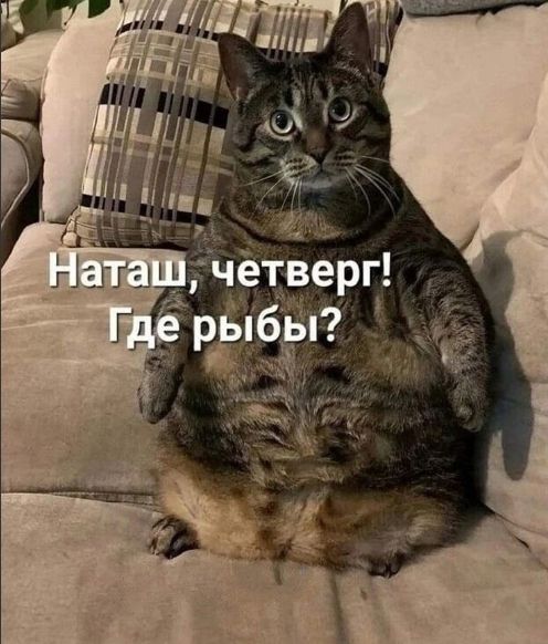 Наташ, четверг! Где рыбы?