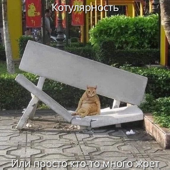 Котулярность
Или просто кто-то много жрет