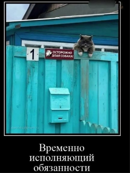 Временно исполняющий обязанности