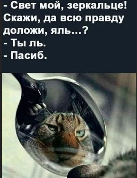 Свет мой, зеркальце! Скажи, да всю правду стой, яль...? - Ты ль. - Пасиб.