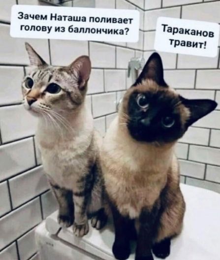 Зачем Наташа поливает голову из баллончика? Тараканов травит!