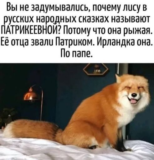 Вы не задумывались, почему лису в русских народных сказках называют ПАТРИКЕЕВНОЙ? Потому что она рижая. Её отца звали Патриком. Ирландка она. По папе.