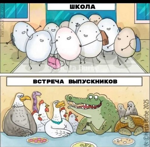 ШКОЛА
ВСТРЕЧА ВЫПУСКНИКОВ