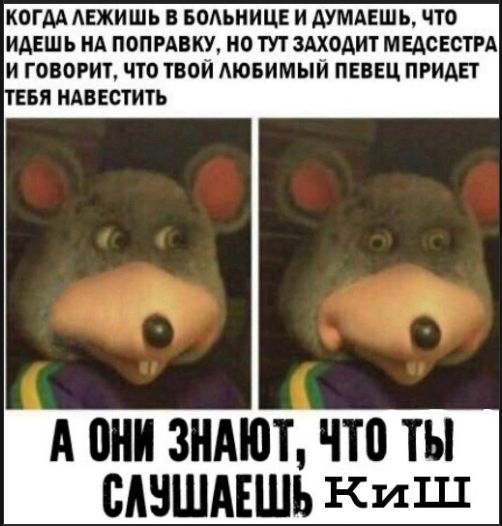 Когдa лежишь в больнице и думаешь, что идешь на поправку, но тут заходит медсестра и говорит, что твой любимый певец придет тебя навестить
А ОНИ ЗНАЛИ, ЧТО ТЫ СЛУШАЕШЬ КИШ