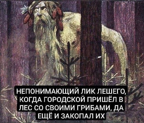 НЕПОМНЯЩИЙ ЛИК LEШЕГО, КОГДА ГОРОДСКОЙ ПРИШЁЛ В ЛЕС СО СВОИМИ ГРИБАМИ, ДА ЕЩЁ И ЗАКОПАЛ ИХ