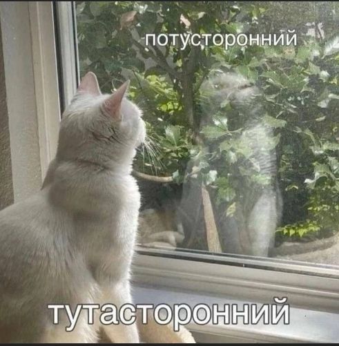 потусторонний
тутасторонний