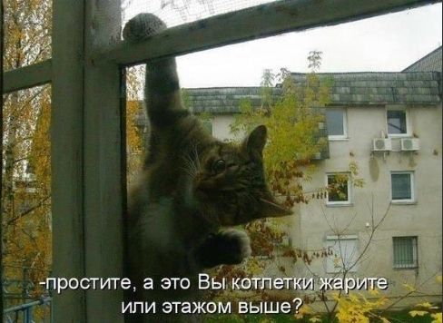 -простите, а это Вы котлетки жарите или этажом выше?