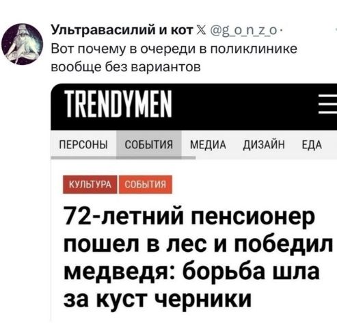 72-летний пенсионер пошел в лес и победил медведя: борьба шла за куст черники