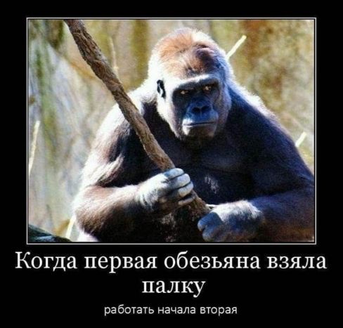 Когда первая обезьяна взяла палку работать начала вторая