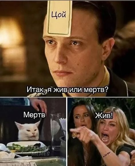Итак, я жив или мертв?
Мертв
Жив!