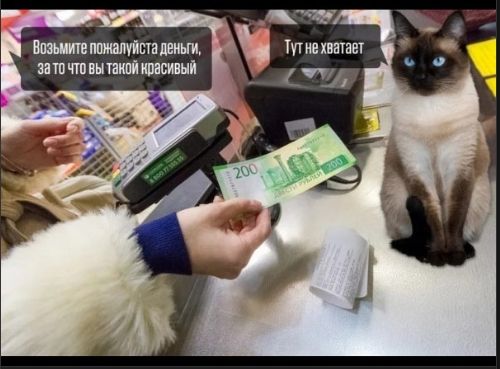 Возьмите пожалуйста деньги, за то что вы такой красивый Тут не хватает