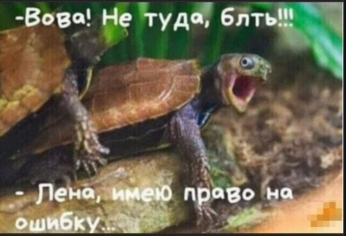– Вова! Не туда, блять!!!
– Лена, имею право на ошибку...