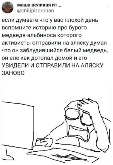 если думаете что у вас плохой день вспомните историю про бурого медведя-альбиноса которого активисты отправили на аляску думая что он заблудившийся белый медведь, он еле как дотопал домой и его УВИДЕЛИ И ОТПРАВИЛИ НА АЛЯСКУ ЗАНОВО