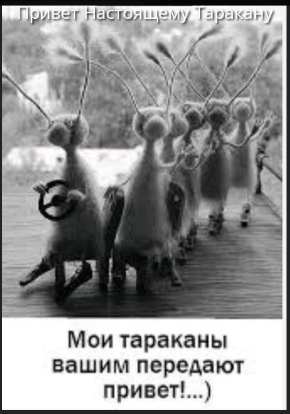 Привет Настоящему Таракану
Мои тараканы вашим передают привет! (...)