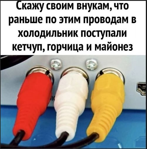 Скажу своим внукам, что раньше по этим проводам в холодильник поступали кетчуп, горчица и майонез