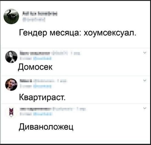 Гендер месяца: хоумсексуал.
Домосек.
Квартирад.
Диваноложець.