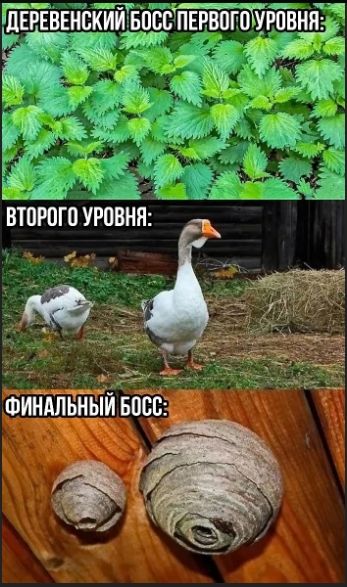 Деревенский босс первого уровня:
Второго уровня:
Финальный босс: