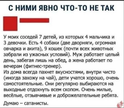 У моих соседей 7 детей, из которых 4 мальчика и 3 девочки. Есть 4 собаки (две дворняги, огромная овчарка и акита), 9 кошек (почти всех животных забрали из ужасных условий). Муж работает целый день, забега лишь на обед, а жена работает по вечерам (фитнес-тренер). Из дома всегда пахнет вкусностями, внутри чисто (иногда заходь на чай), дети учатся хорошо, очень самостоятельные. Они регулярно выбираются на выходные отдыхать в сопку. Очень милые, весёлые, отзывчивые и доброжелательные ребята. Думаю — сатанисты.
