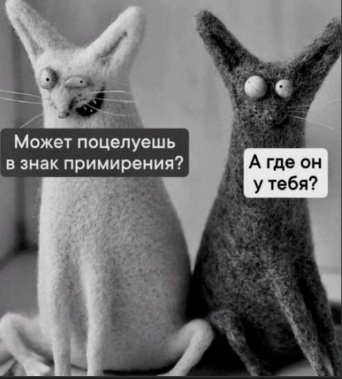 Может поцелуешь в знак примирения? А где он у тебя?
