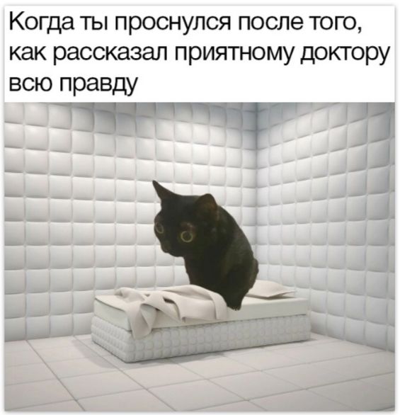 Когда ты проснулся после того, как рассказал приятному доктору всю правду