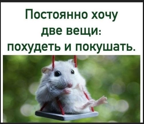 Постоянно хочу две вещи: похудеть и кушать.