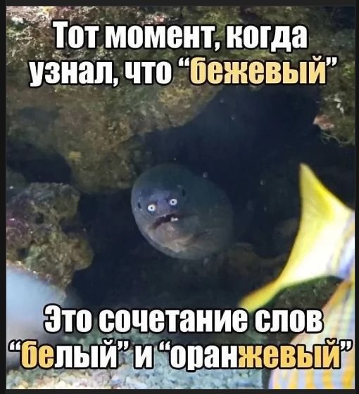 Тот момент, когда узнал, что 