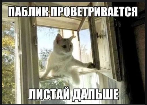 ПАБЛИК ПРОВЕТРИВАЕТСЯ
ЛИСТАЙ ДАЛЬШЕ