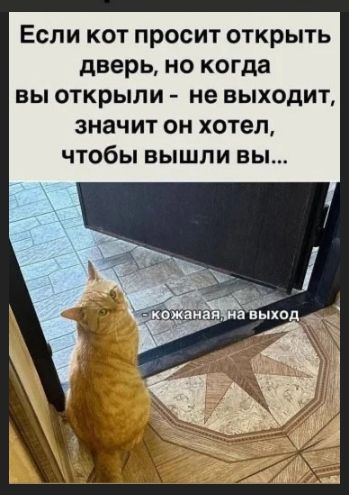 Если кот просит открыть дверь, но когда вы открыли - не выходит, значит он хотел, чтобы вышли вы... - кожаная, на выход