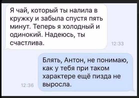 Я чай, который ты налила в кружку и забыла спустя пять минут. Теперь я холодный и одинокий. Надеюсь, ты счастлива.
Блять, Антон, не понимаю, как у тебя при таком характере ещё пизда не выросла.