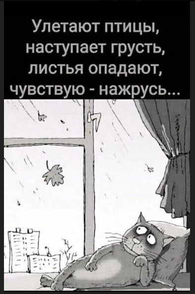 Улетают птицы, наступает грусть, листья опадают, чувствую - нахрусь...