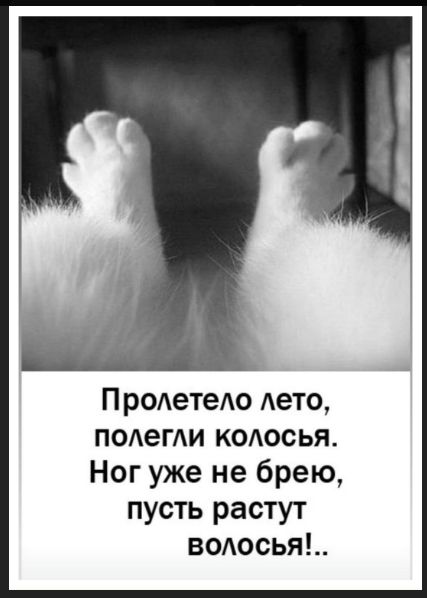 Пролетело лето, polegli kolosya. Nog uzhe ne breyu, pust' rastut volosy!.