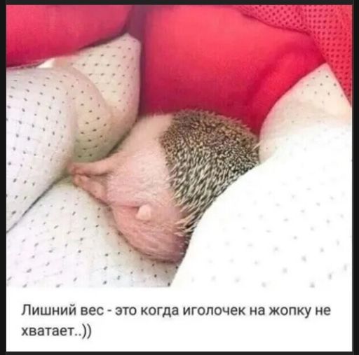 Лишний вес - это когда иголочек на жопку не хватает..))