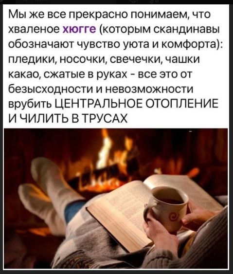 Мы же все прекрасно понимаем, что хваленое хйюгге (которым скандинавы обозначают чувство уюта и комфорта): пледики, носочки, свечечки, чашки какао, сжатые в руках - все это от безысходности и невозможности рубить ЦЕНТРАЛЬНОЕ ОТОПЛЕНИЕ И ЧИЛИТЬ В ТРУСАХ